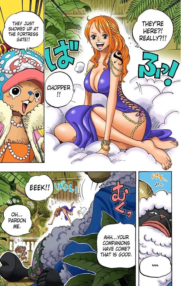One Piece Digital Colored Chapter 806 image 13